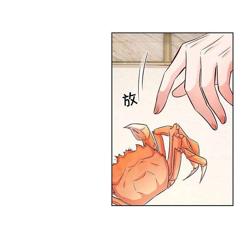 妈咪快跑：爹地追来了293话 来自二婶的嘲讽