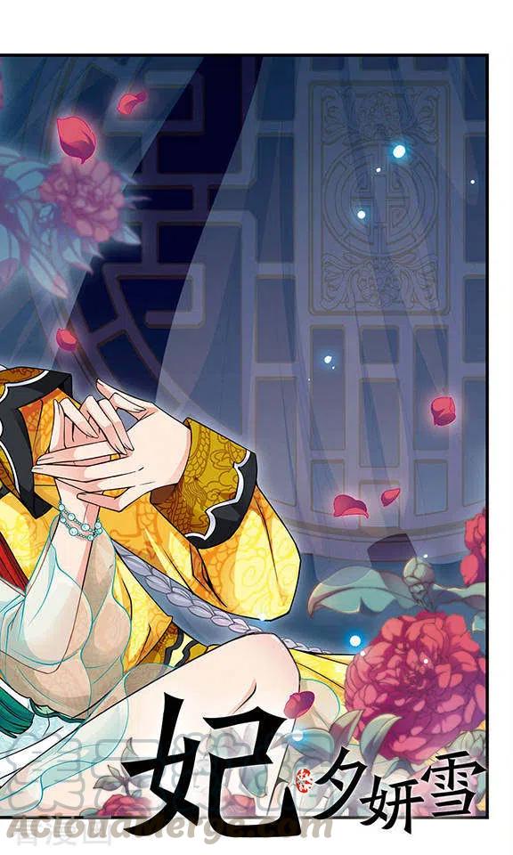 妃夕妍雪130话 圈套2