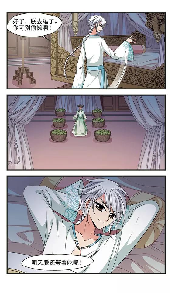 妃夕妍雪281话 重锦的侍寝之夜1