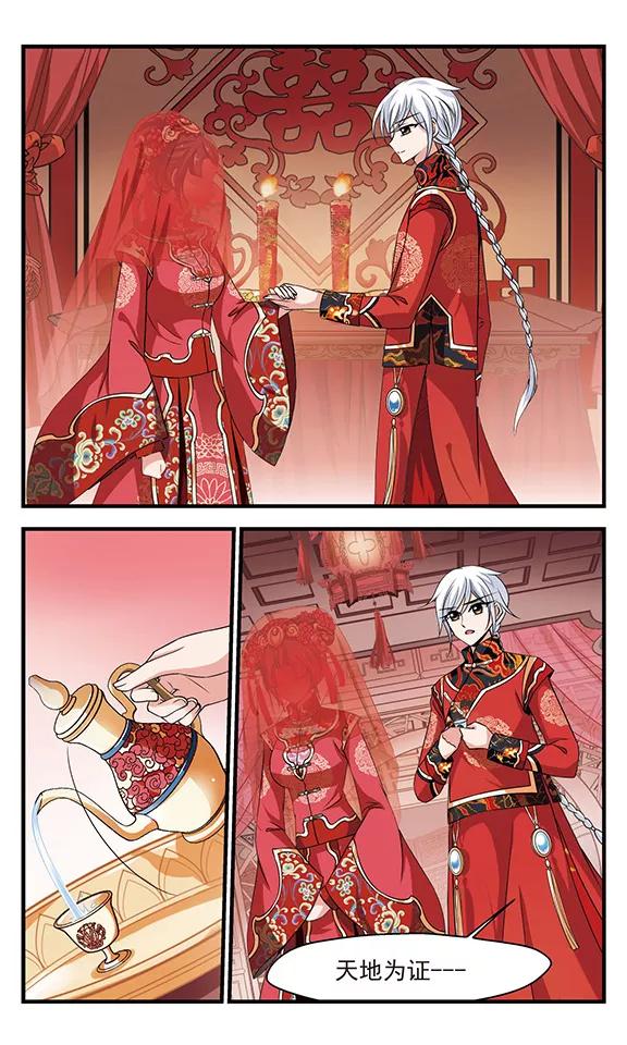 妃夕妍雪290话 完婚2