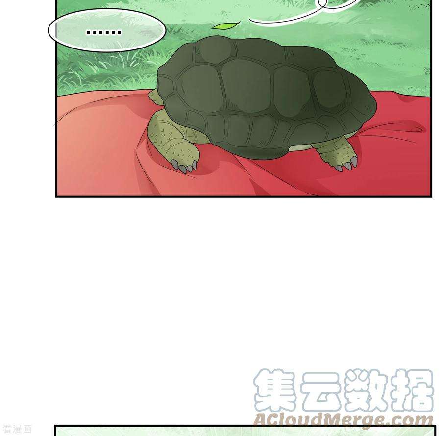 妃夕妍雪2季第35话 见招拆招3