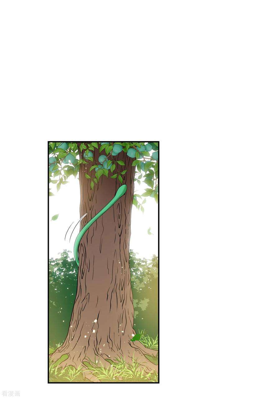 妃夕妍雪2季第41话 轻眉？青梅！3