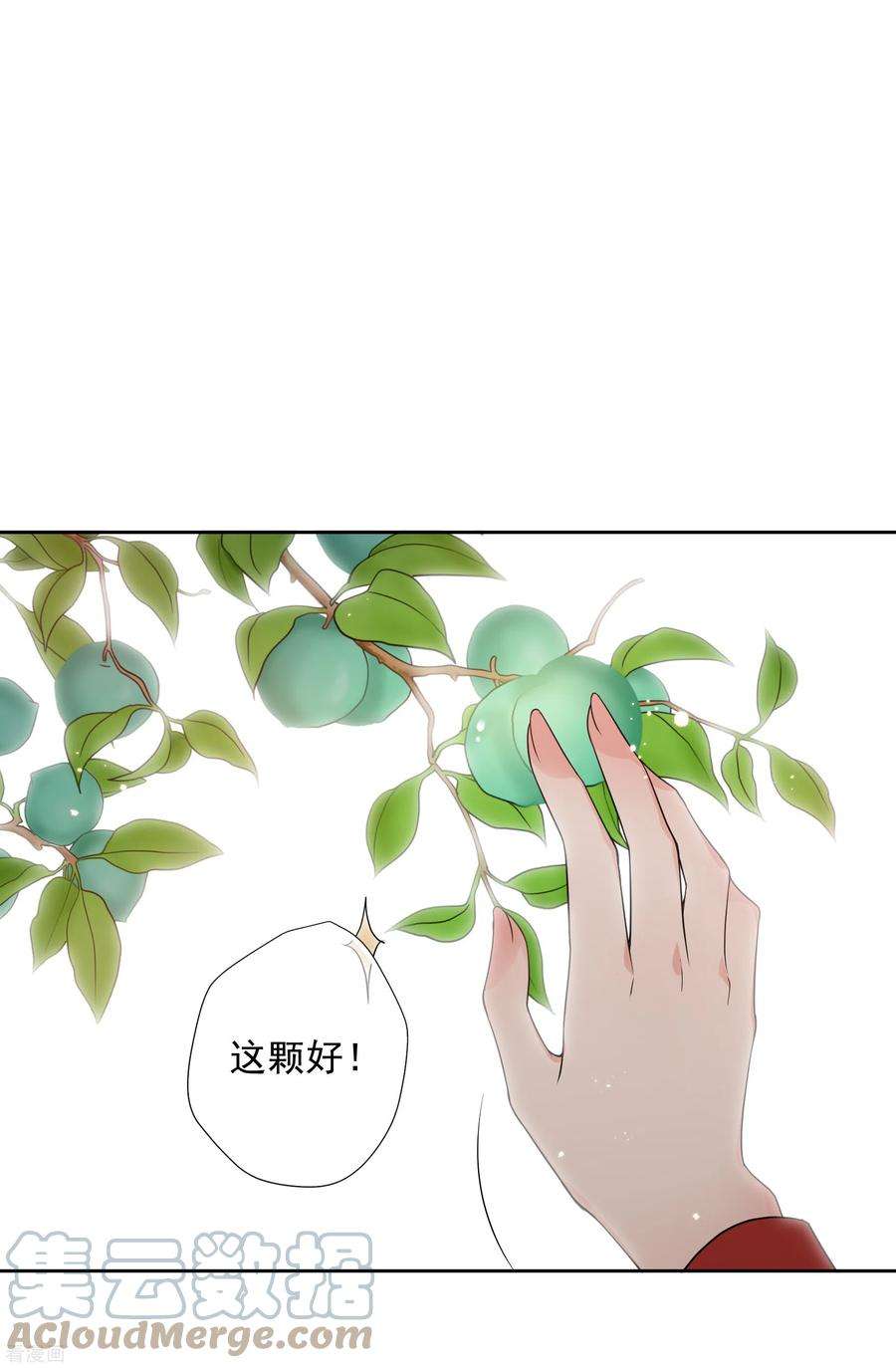 妃夕妍雪2季第41话 轻眉？青梅！3