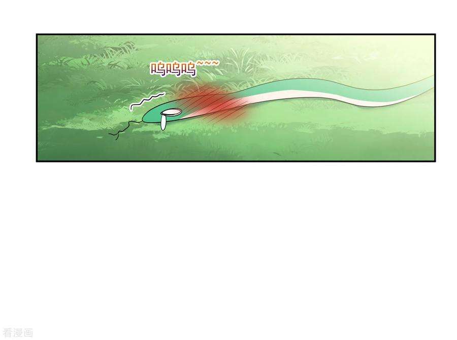 妃夕妍雪2季第41话 轻眉？青梅！3