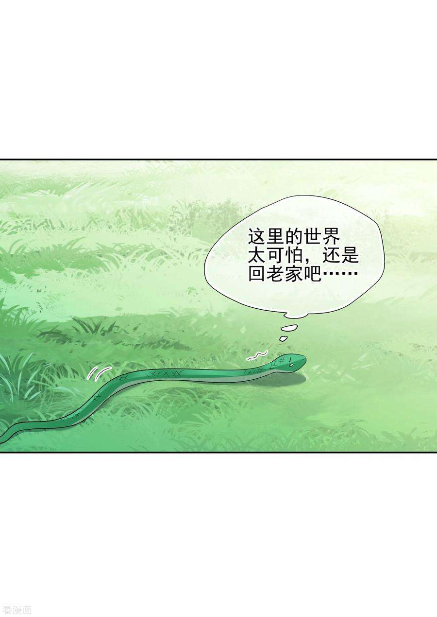 妃夕妍雪2季第41话 轻眉？青梅！3