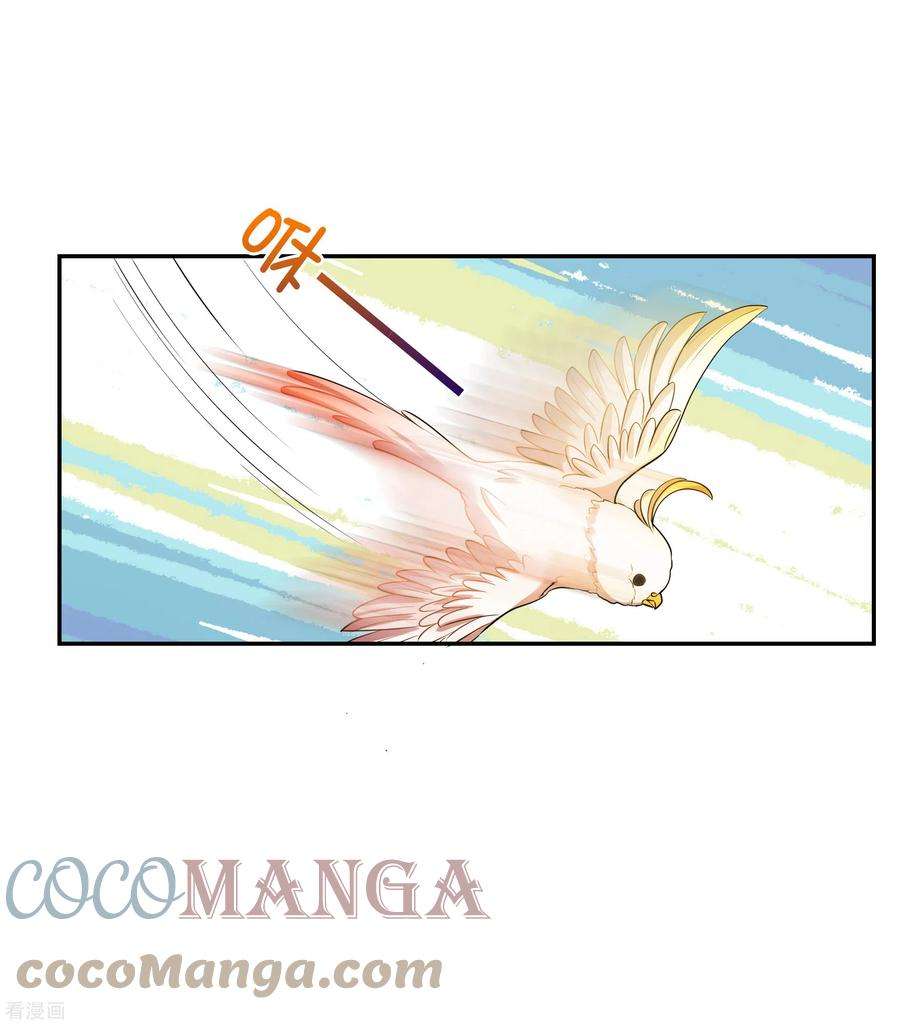 妃夕妍雪2季第59话 破案2