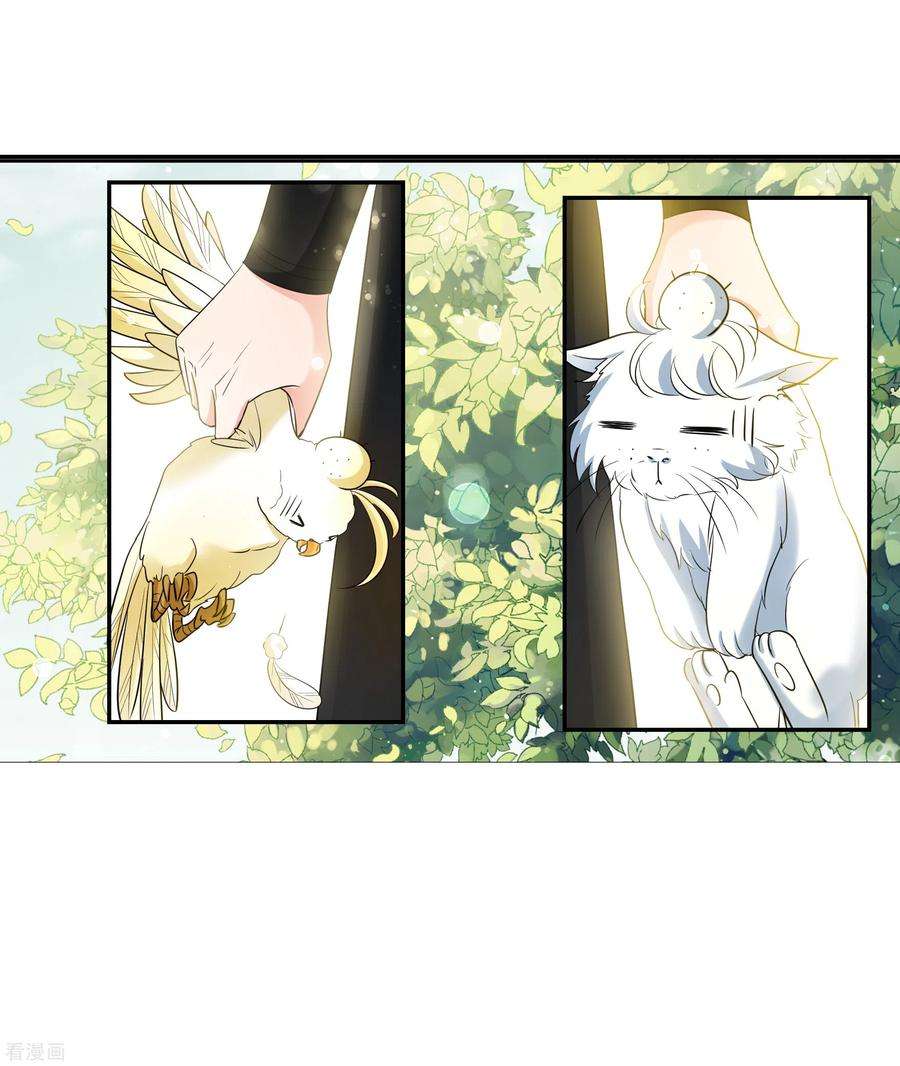 妃夕妍雪2季第60话 破案3