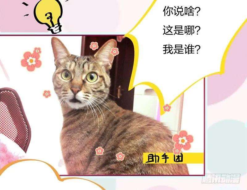 小皇书VS小皇叔五话 差点被烧死