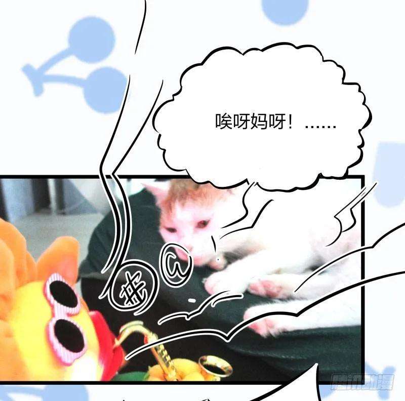 小皇书VS小皇叔十话 王妃来了！