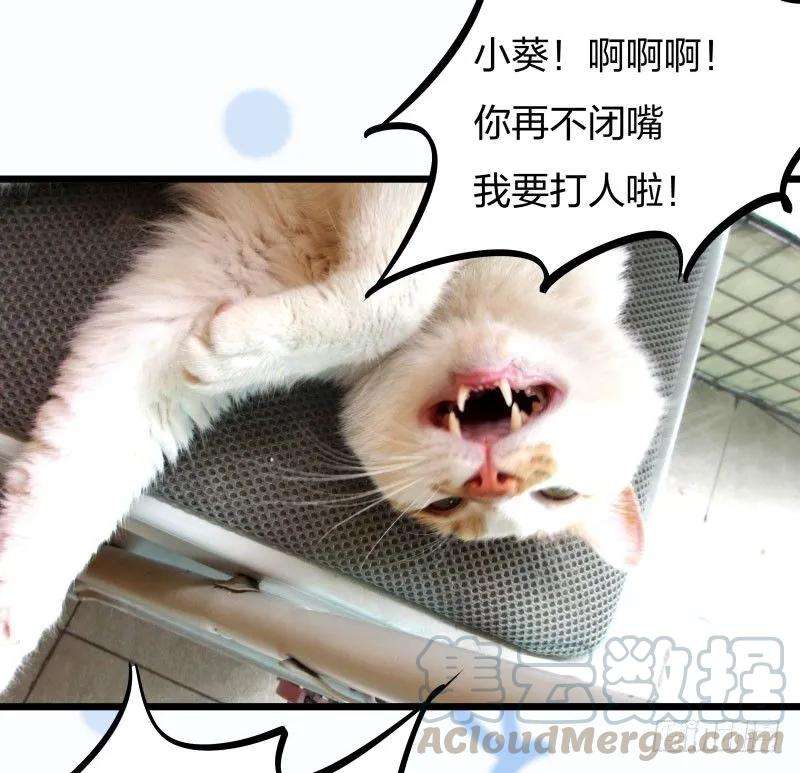 小皇书VS小皇叔十话 王妃来了！