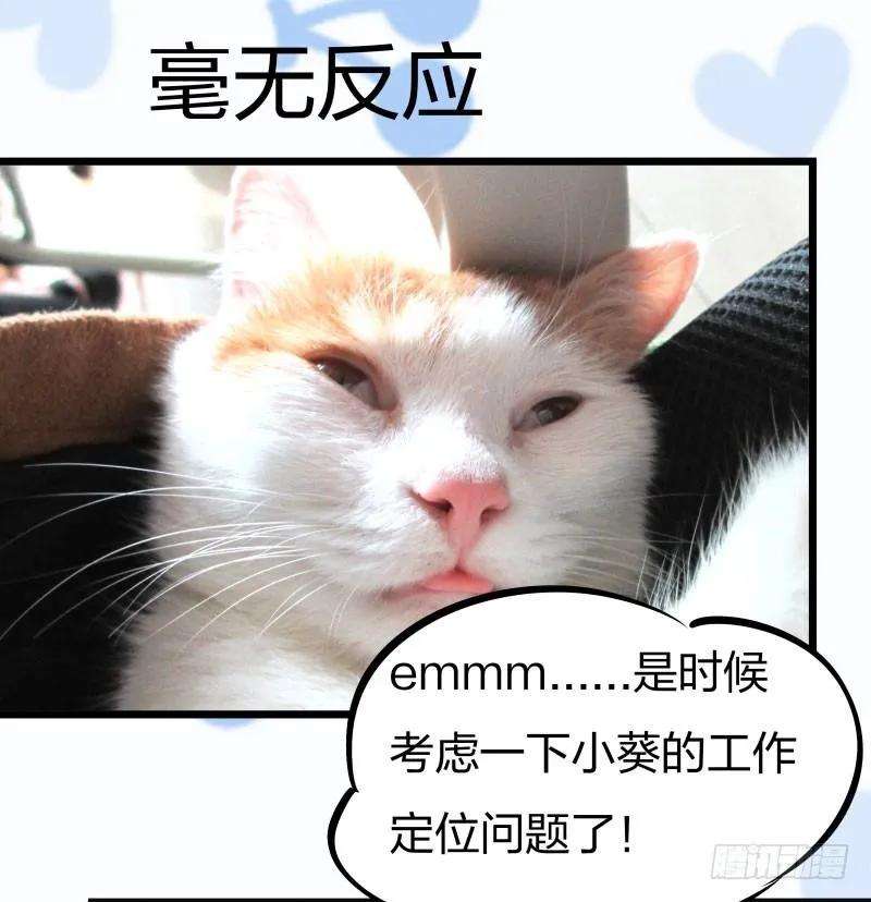 小皇书VS小皇叔十话 王妃来了！
