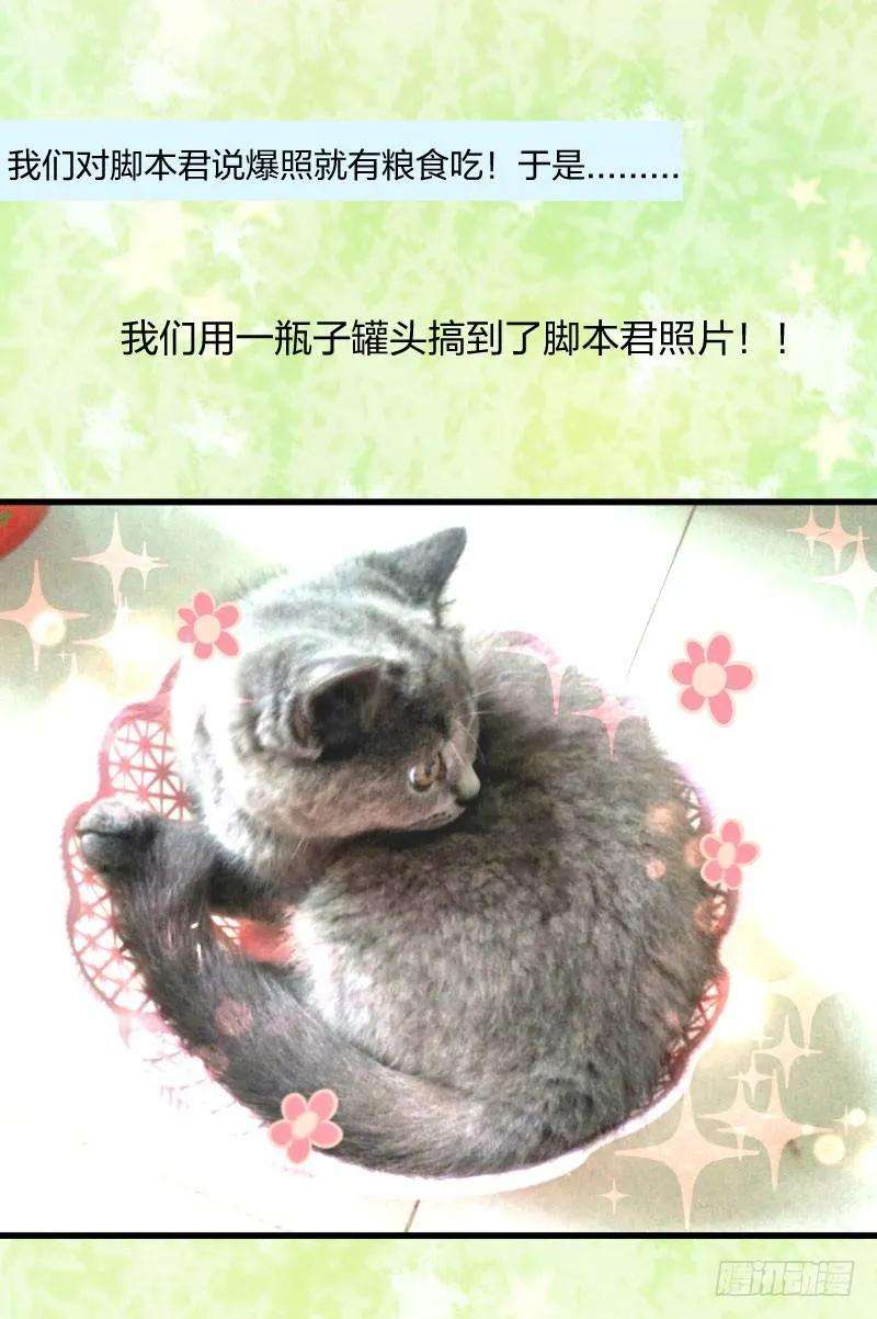 小皇书VS小皇叔十一话 送上门的王妃