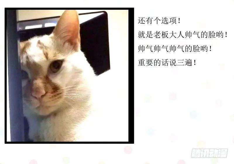 小皇书VS小皇叔十二话 被狗追了！