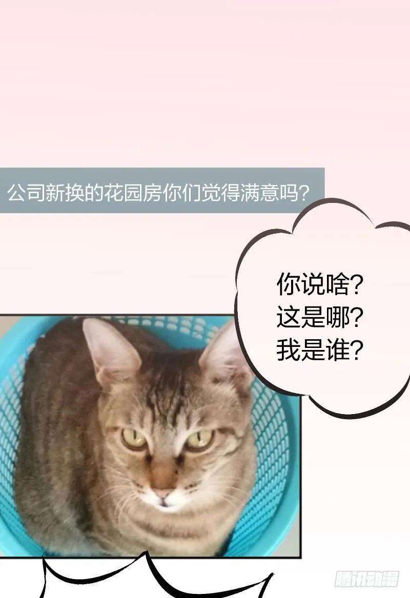 小皇书VS小皇叔十四话 吃香喝辣的书灵