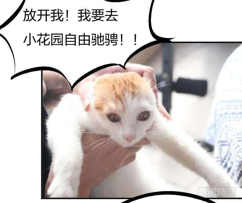 小皇书VS小皇叔十四话 吃香喝辣的书灵