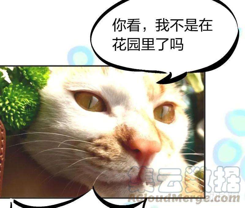 小皇书VS小皇叔十四话 吃香喝辣的书灵