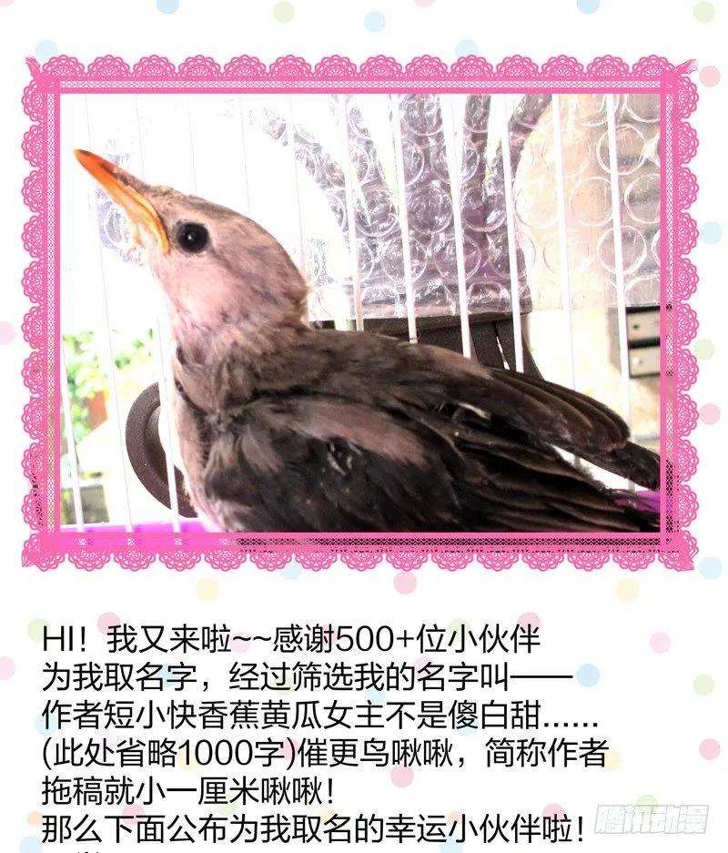 小皇书VS小皇叔十九话 春暖花开