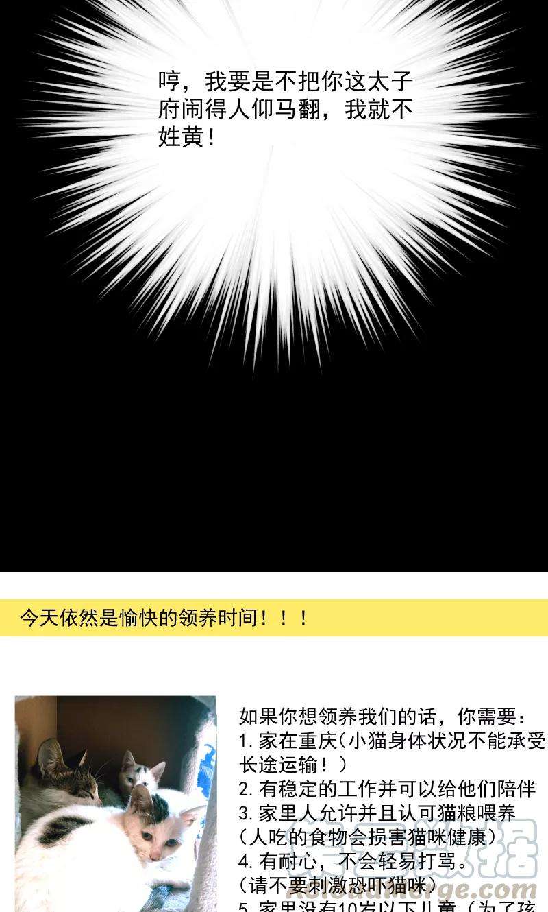 小皇书VS小皇叔六十四话 求生欲旺盛