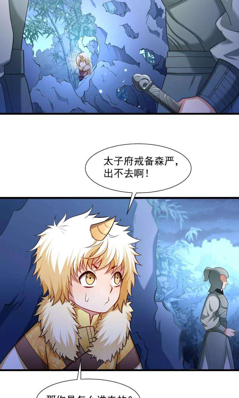 小皇书VS小皇叔六十五话 火烧太子府