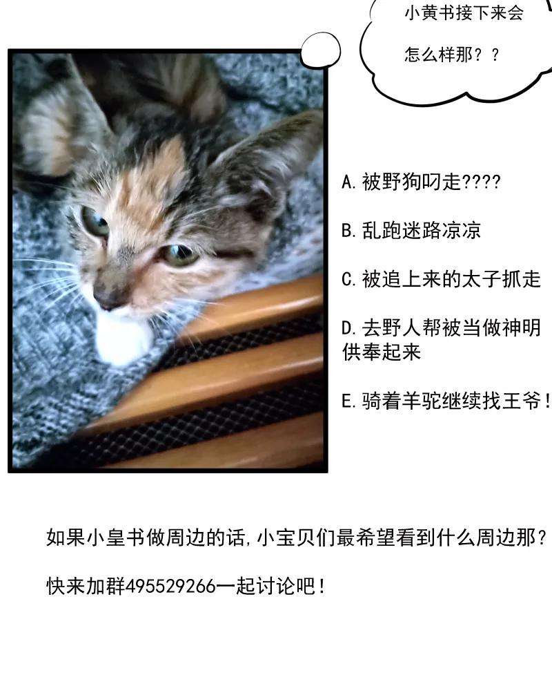 小皇书VS小皇叔六十六话 遇上山贼