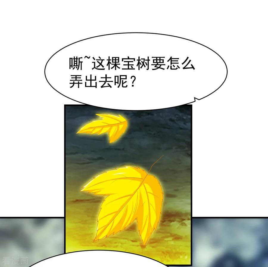战鼎61话 秘宝