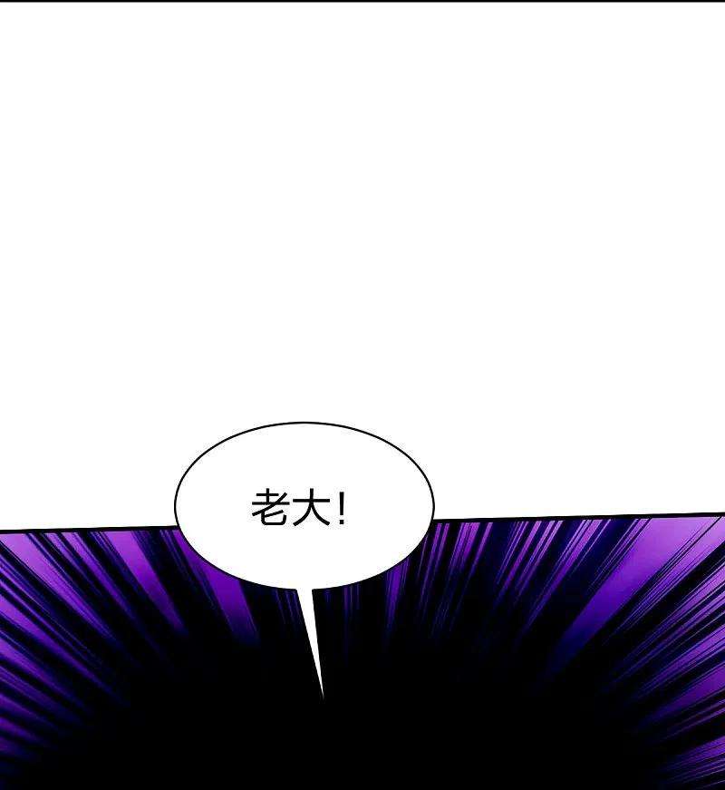 战鼎310话 龙皮软甲