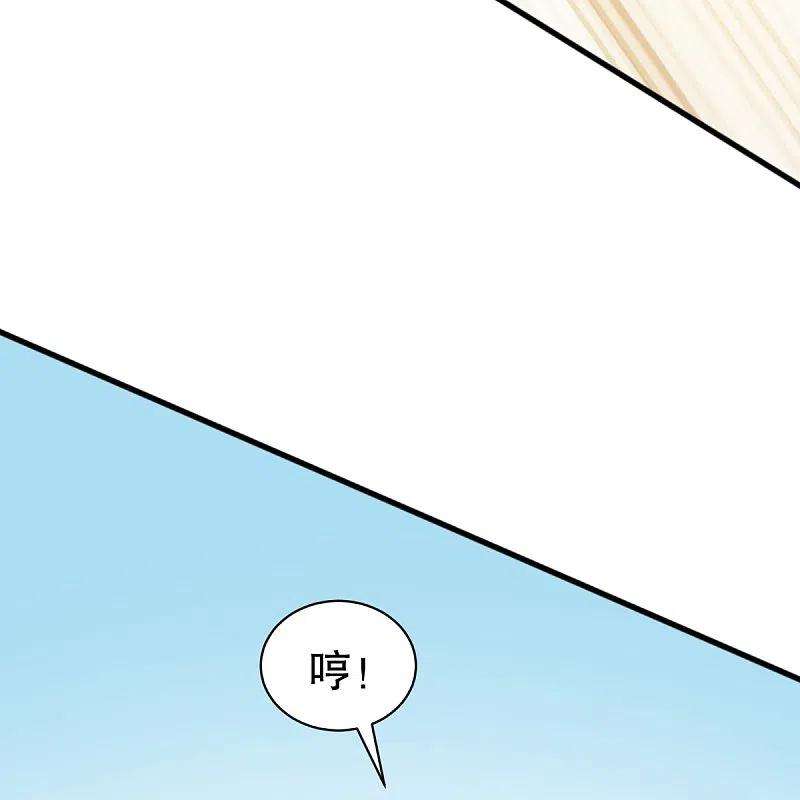 战鼎334话 三大家族