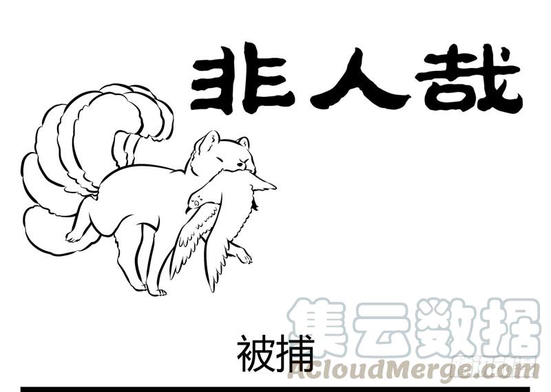 非人哉185