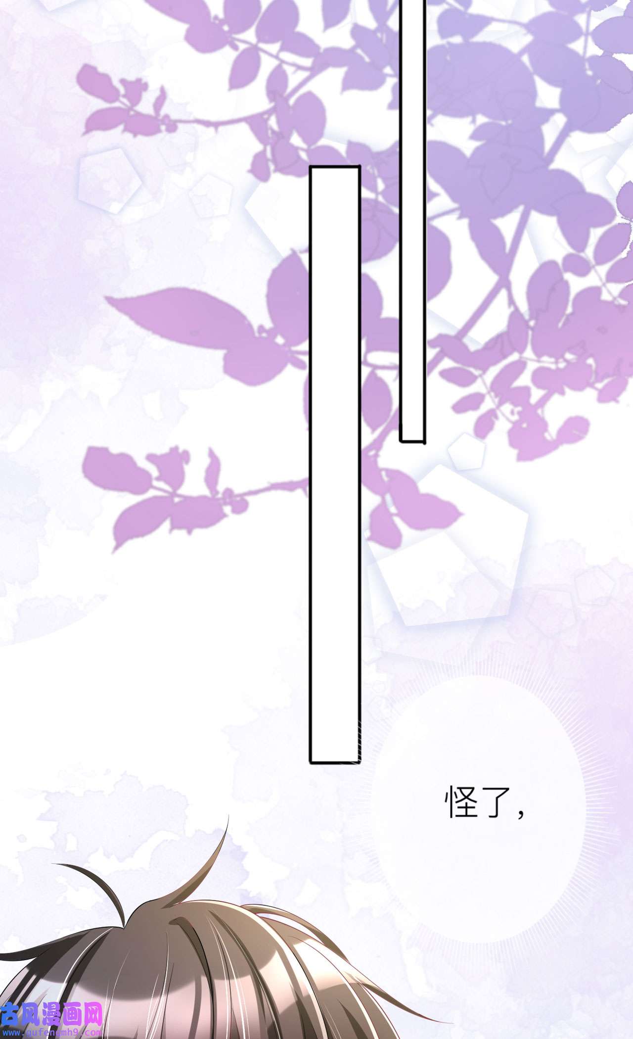 星与星的距离33 生日快乐