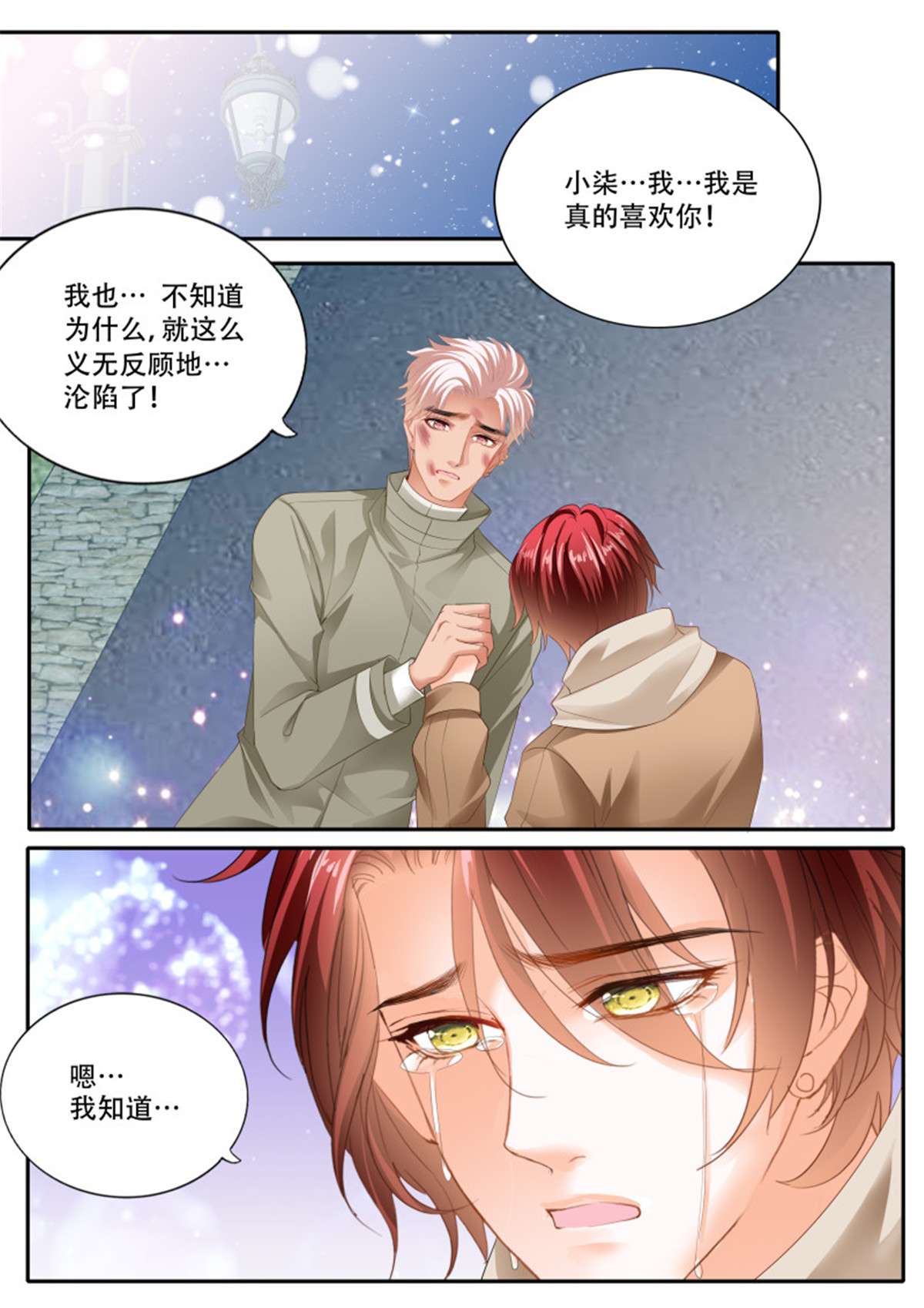 霸道小叔，请轻撩324 你被骗了