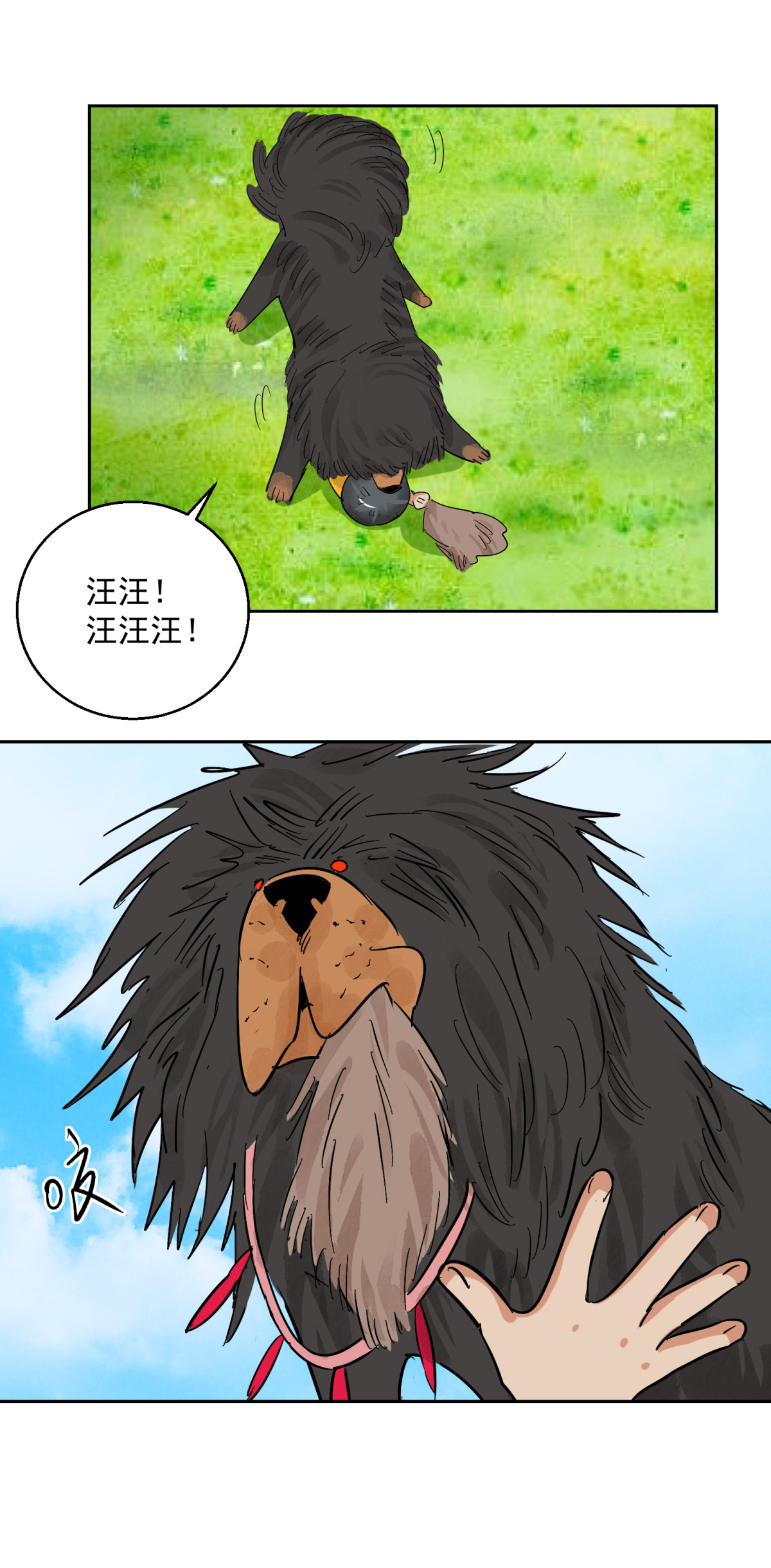 雪山·草地·传说少年登巴的故事第91话 登巴老师（四）