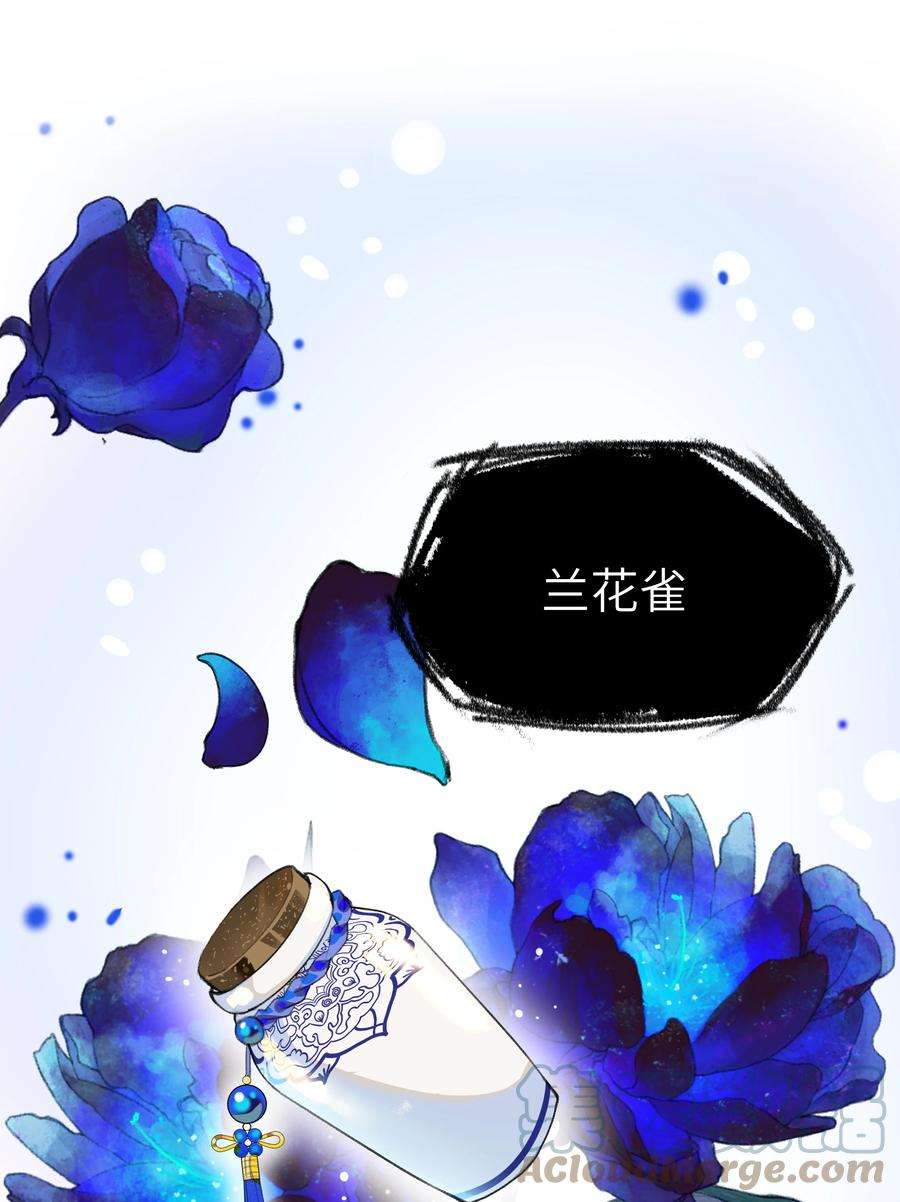夫君，拜托请休了我吧！009 帅哥这种东西，只可远观，不可近玩