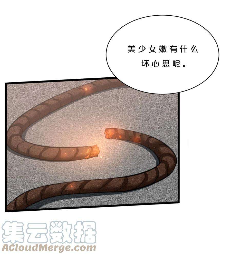 别再召唤我啦！001 灰烬之主