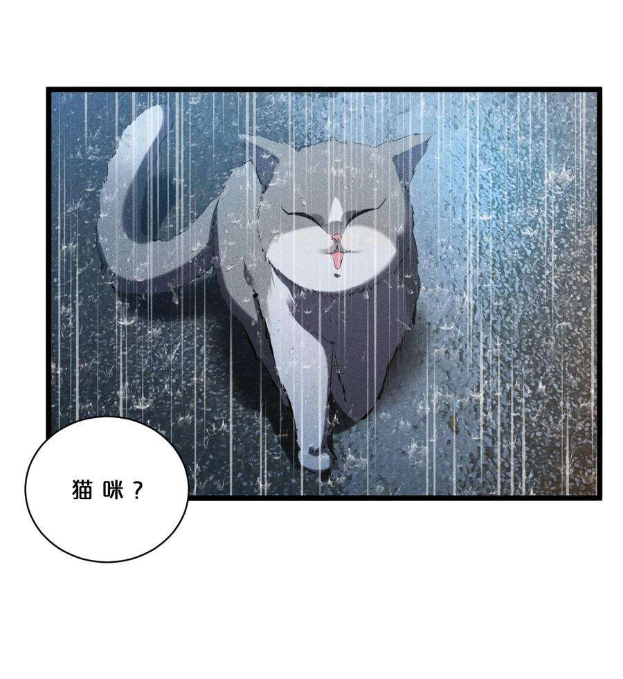 别再召唤我啦！019 猫与女孩