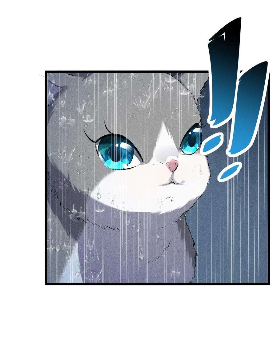 别再召唤我啦！019 猫与女孩