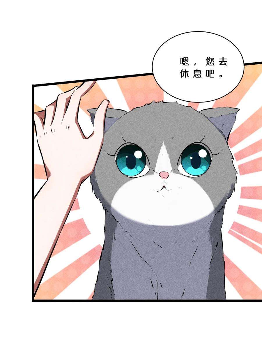别再召唤我啦！020 高速成长