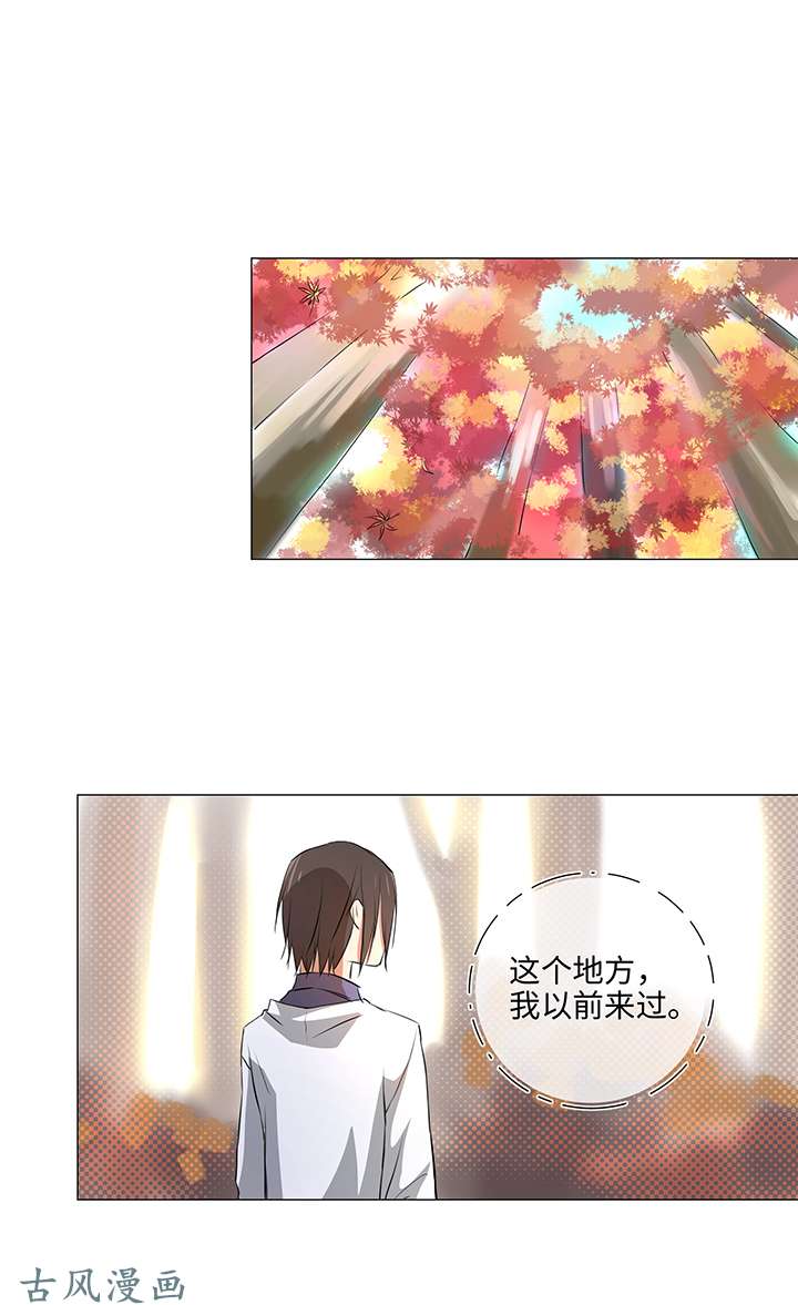 妖怪男友派件中33 幻境之中