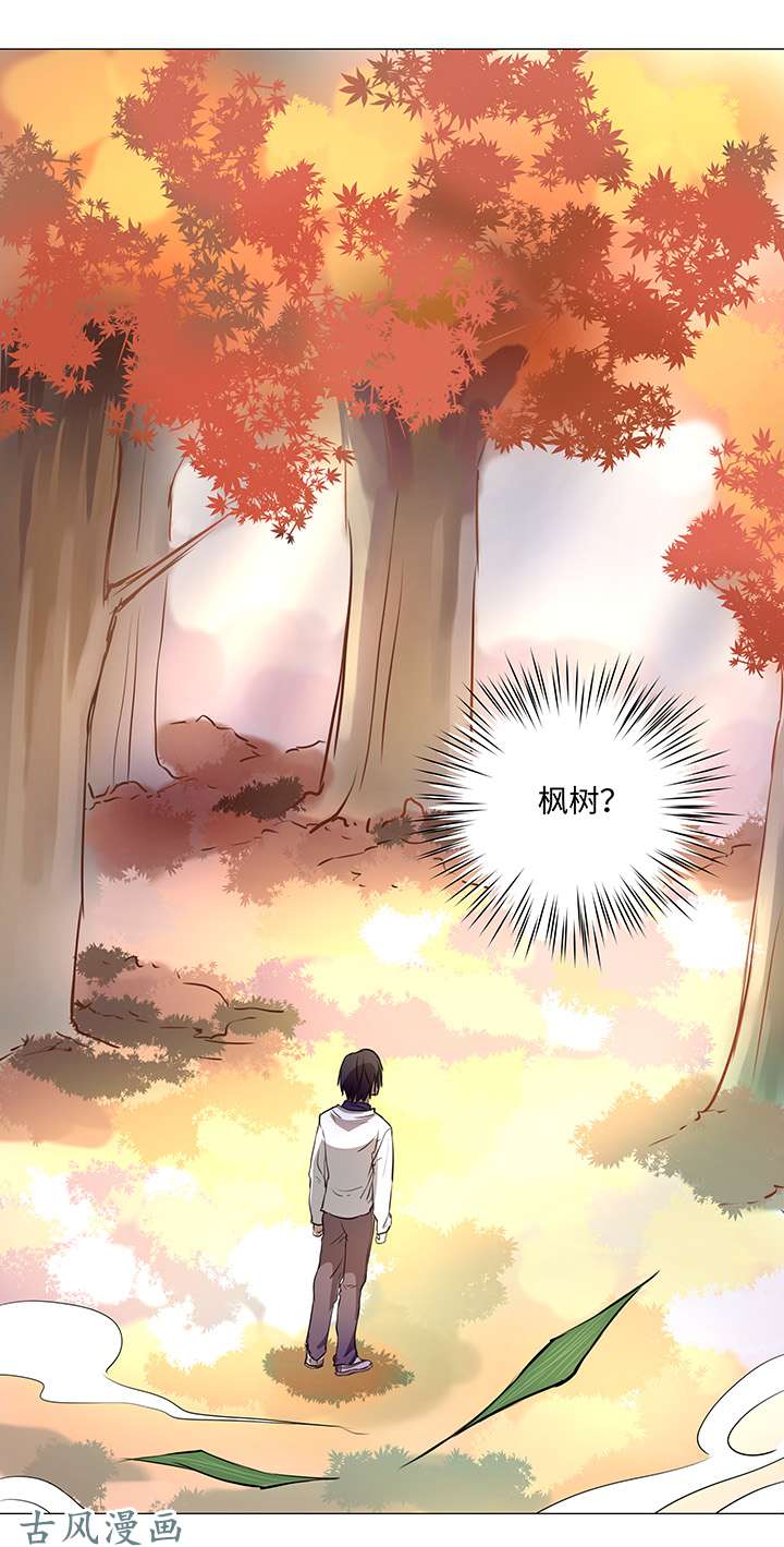 妖怪男友派件中33 幻境之中