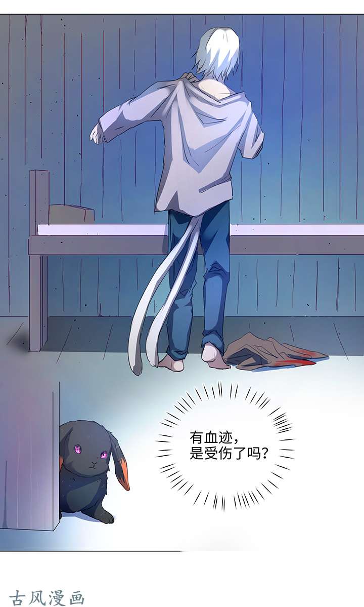 妖怪男友派件中57 黑猫传说.二