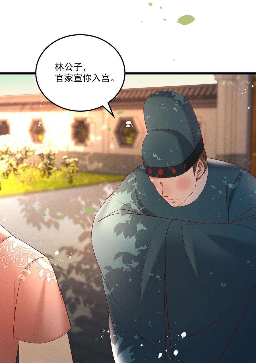 多情应笑我038 林公子，请入宫了