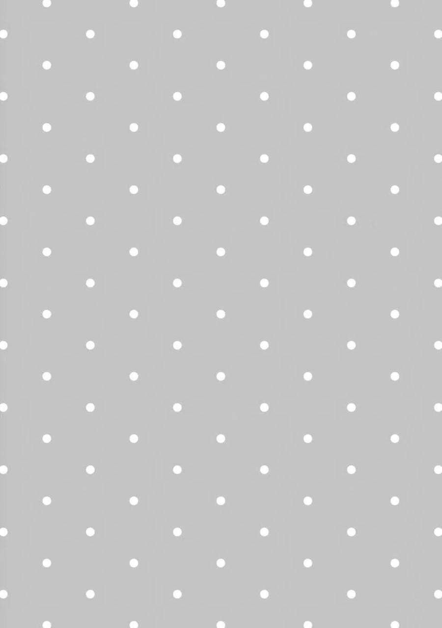 恋爱的白熊15 翱翔天际