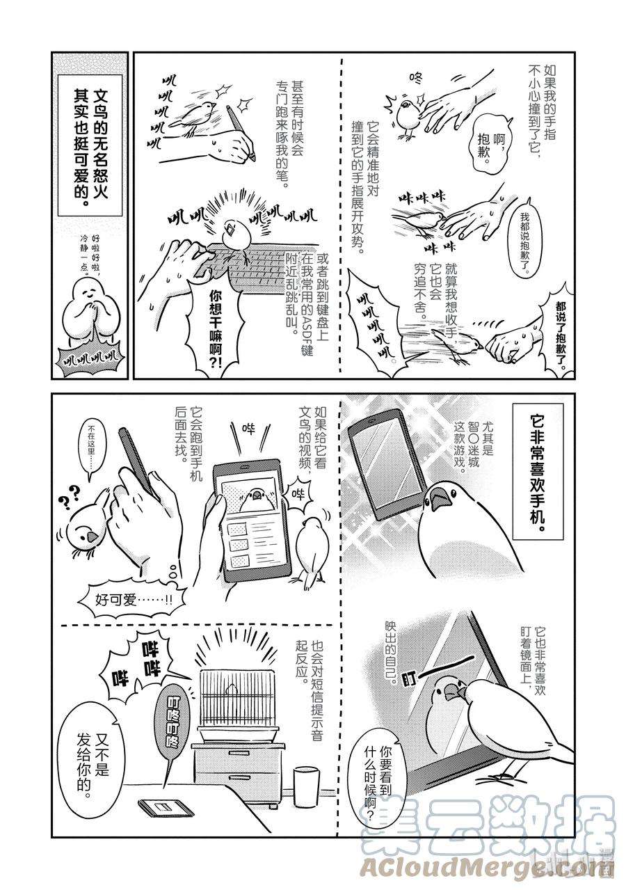 恋爱的白熊番外篇 恋爱的文鸟