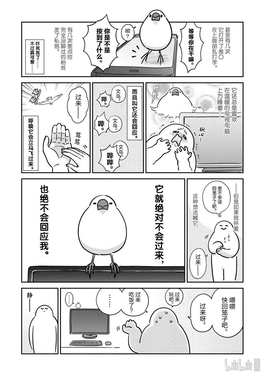 恋爱的白熊番外篇 恋爱的文鸟