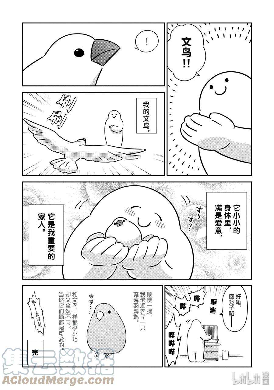 恋爱的白熊番外篇 恋爱的文鸟
