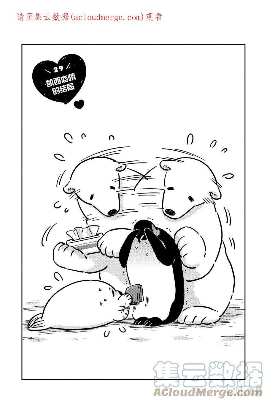 恋爱的白熊29 凯西恋情的结局