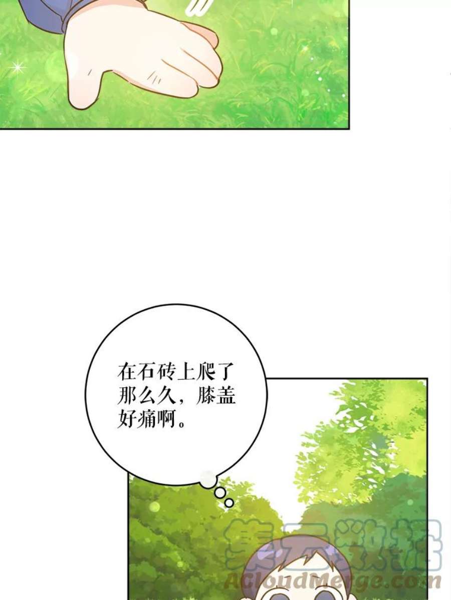 请给我奶嘴4.洗奶嘴