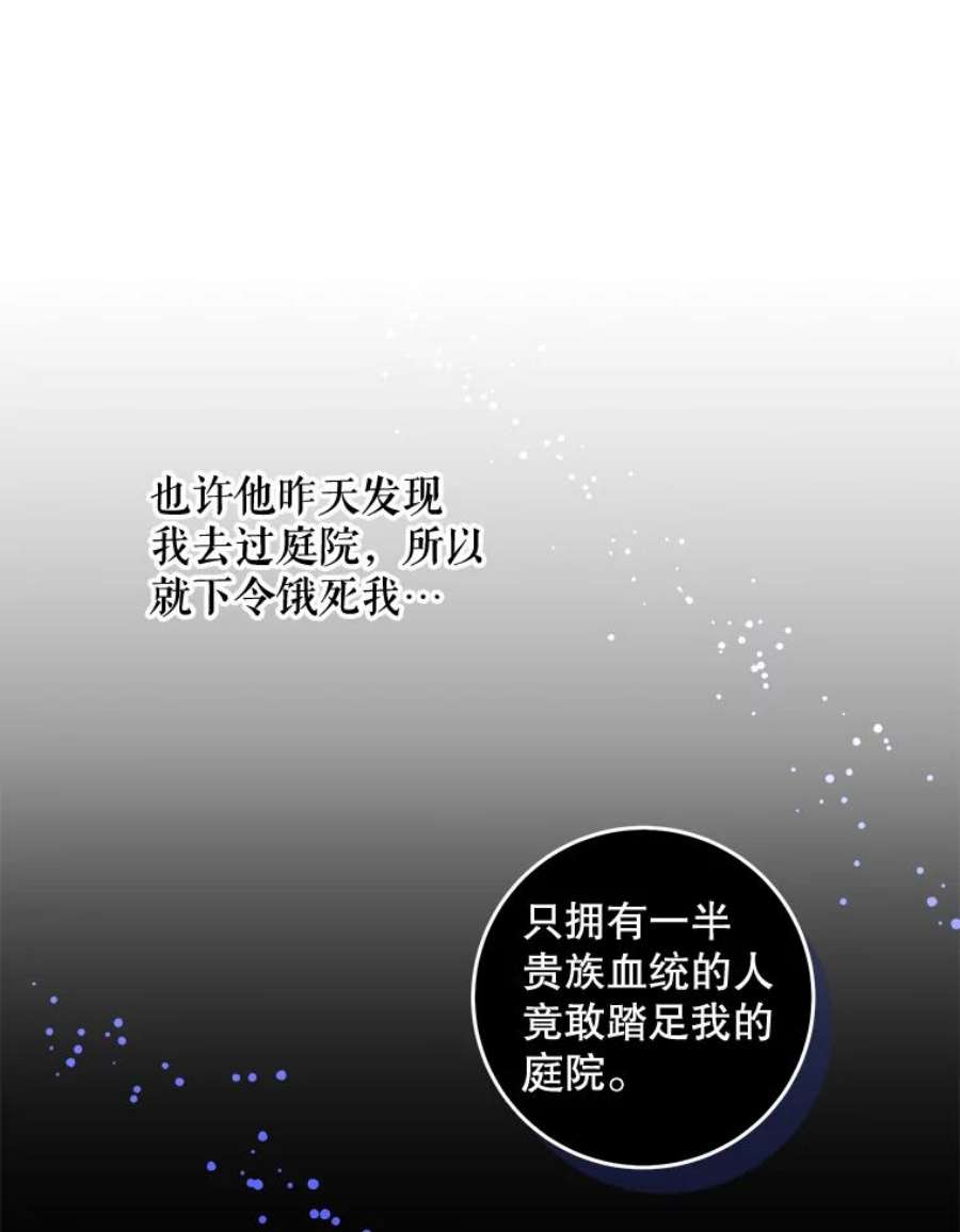 请给我奶嘴6.起杀心