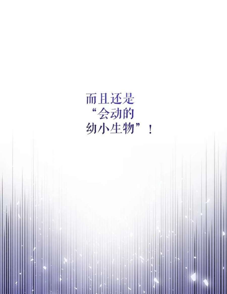 请给我奶嘴8.魔兽突袭