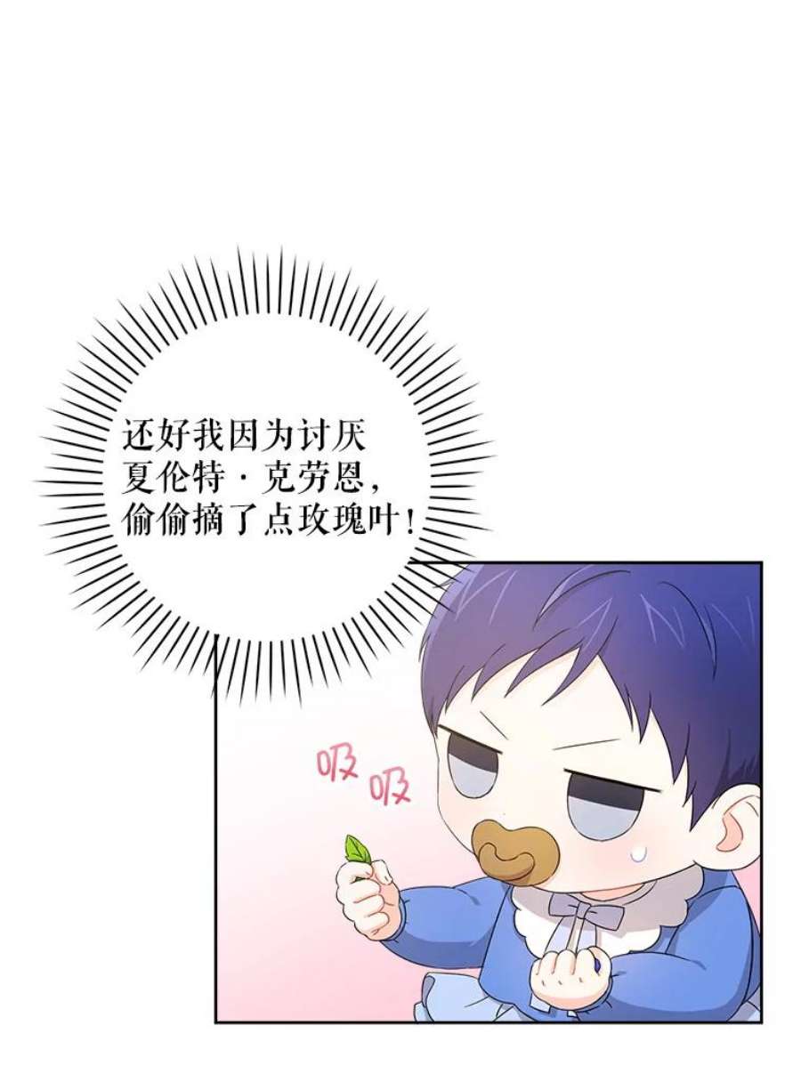 请给我奶嘴10.蟑螂