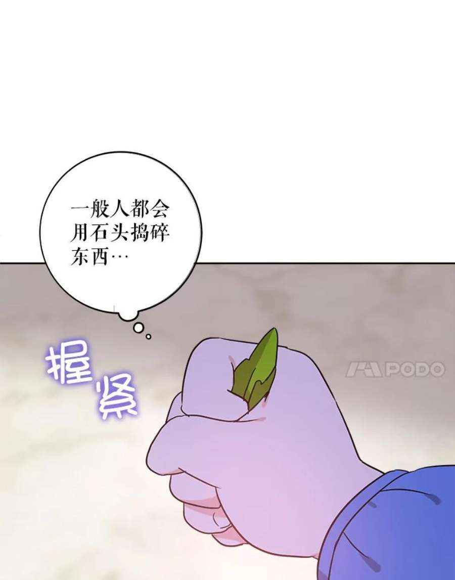 请给我奶嘴10.蟑螂